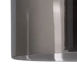 Banak Lámparas De Techo^Ames