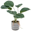 Banak Plantas Decorativas Artificiales^Basy