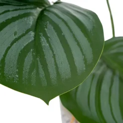 Banak Plantas Decorativas Artificiales^Basy