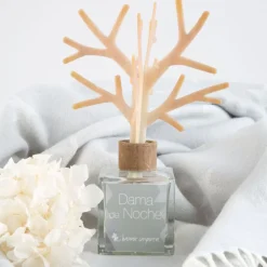 Banak Difusores De Aromas^Difusor