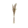 Banak Plantas Decorativas Artificiales^Lanes