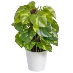 Banak Plantas Decorativas Artificiales^Lanke