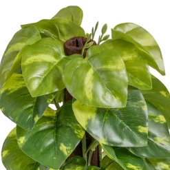 Banak Plantas Decorativas Artificiales^Lanke