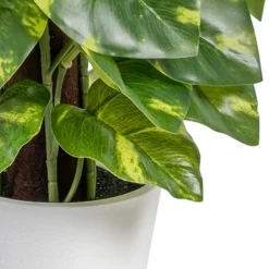 Banak Plantas Decorativas Artificiales^Lanke