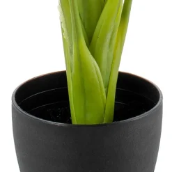 Banak Plantas Decorativas Artificiales^Latam