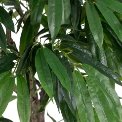 Banak Plantas Decorativas Artificiales^Sakas