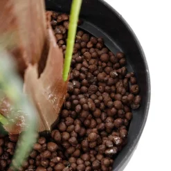 Banak Plantas Decorativas Artificiales^Sala