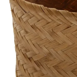 Banak Cestos^Seba