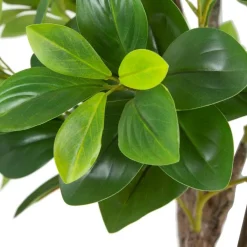 Banak Plantas Decorativas Artificiales^Tosy