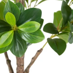 Banak Plantas Decorativas Artificiales^Tosy