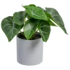 Banak Plantas Decorativas Artificiales^Wanka