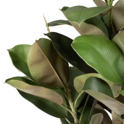 Banak Plantas Decorativas Artificiales^Xatus